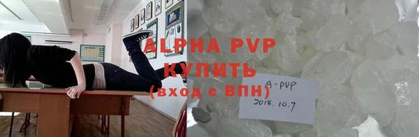 индика Абаза