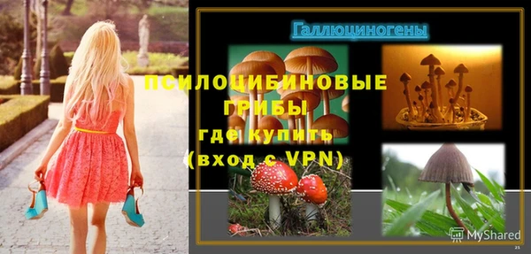 метамфетамин Алексеевка