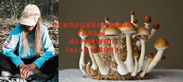 кристаллы Алексин